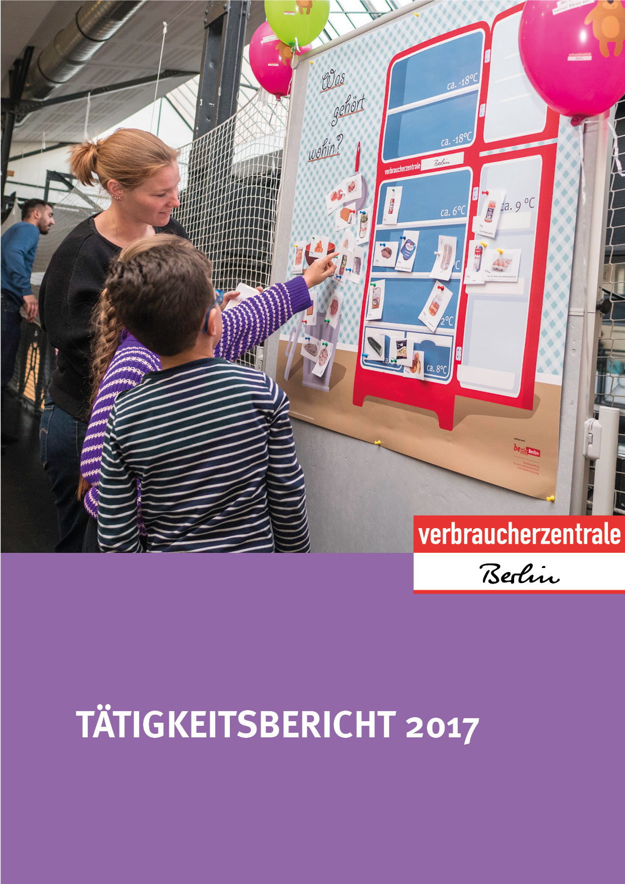 Tätigkeitsbericht 2017
