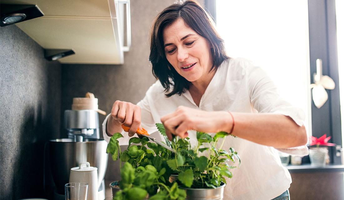Frau schneidet frische Kräuter von einer Topfpflanze