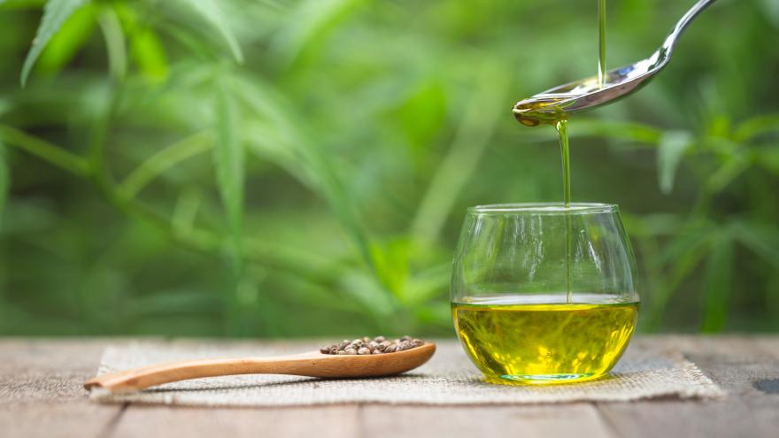 Glas mit CBD-Öl vor Hanfpflanze