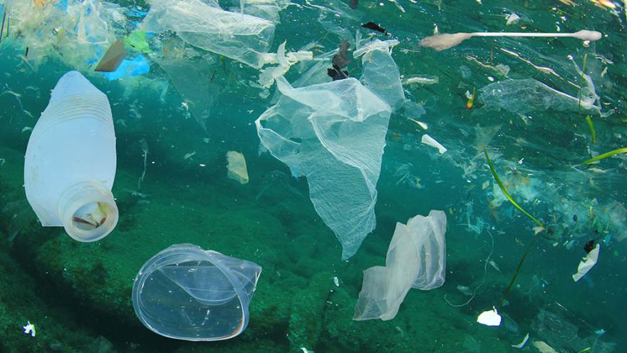 Plastikmüll im Meer