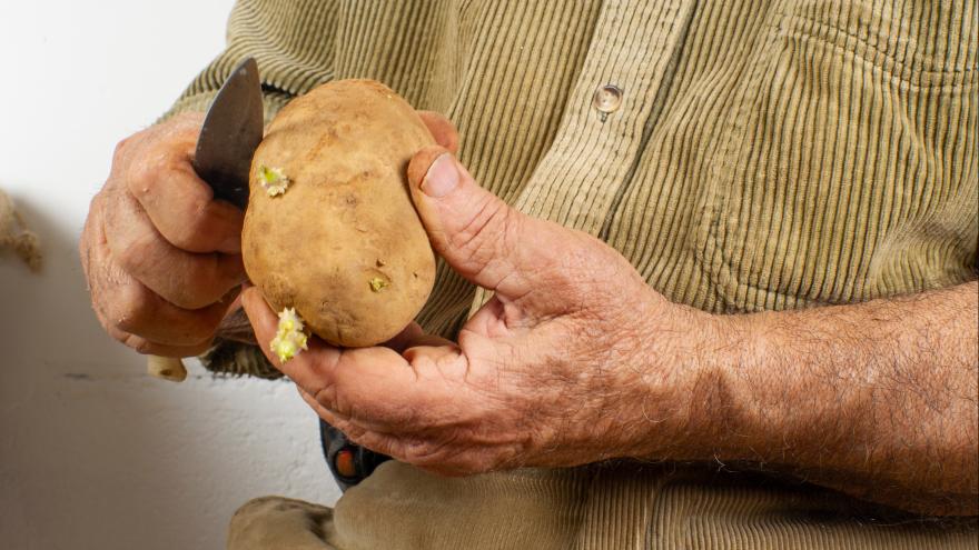 Ein Mann schält eine gekeimte Kartoffel.