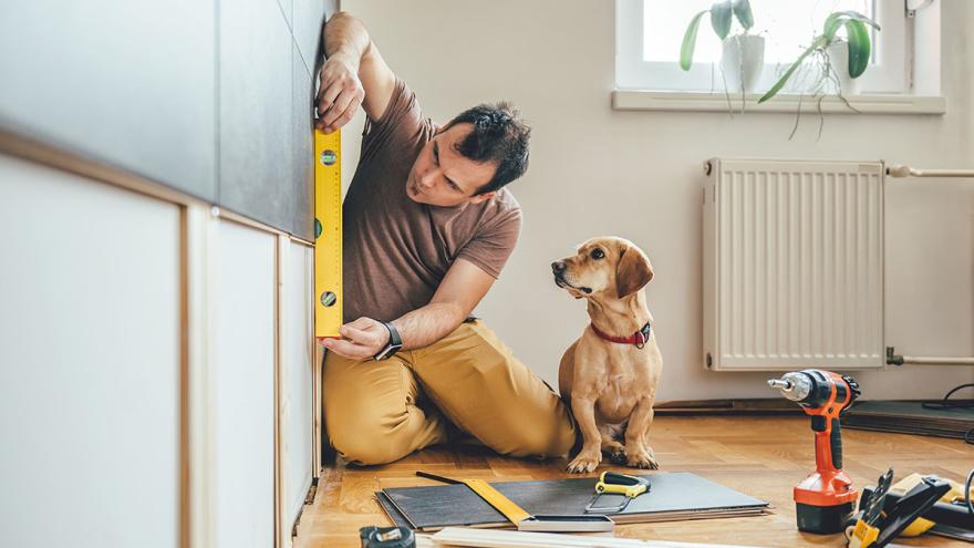 Man beim anbringen einer Wandverkleidung, neben ihm ein Hund