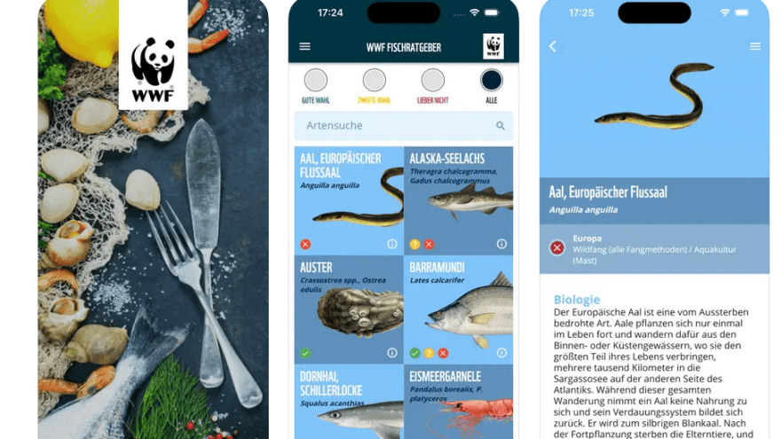 Screenshot der WWF Fischratgeber App aus dem Apple App Store