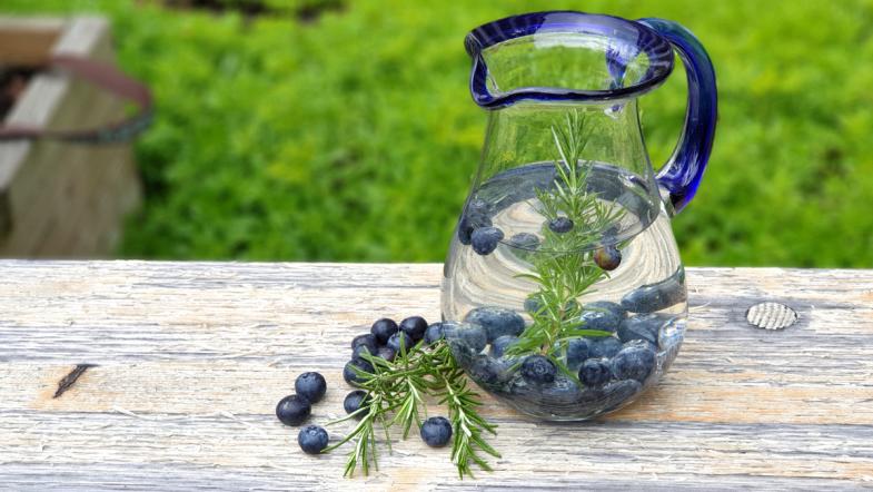 Karaffe gefüllt mit Wasser, Blaubeeren und Rosmarin