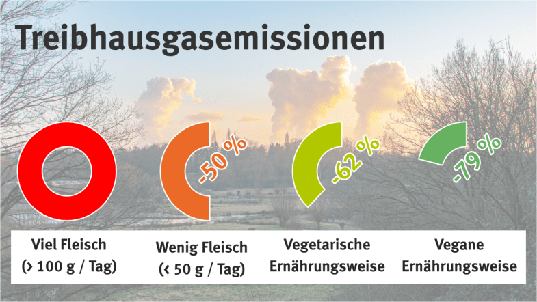 Vergleich verschiedener Ernährungsweisen auf die Treibhausgasemssionen (Viel Fleisch: 100%, Wenig Fleisch: 50%, Vegetarisch: 38%, Vegan: 21%)