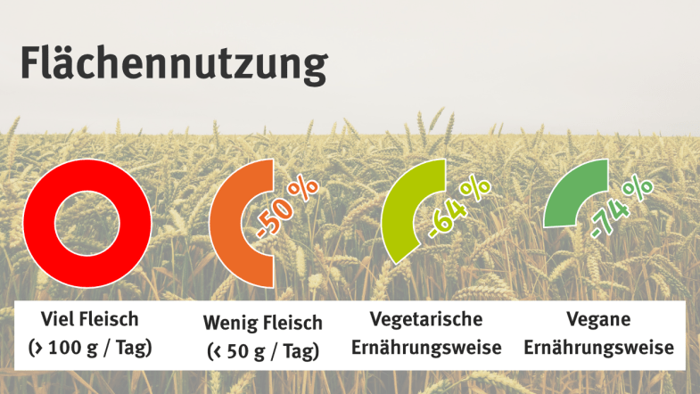 Vergleich verschiedener Ernährungsweisen auf die Flächennutzung (Viel Fleisch: 100%, Wenig Fleisch: 50%, Vegetarisch: 36%, Vegan: 26%)