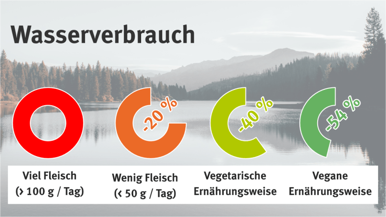 Vergleich verschiedener Ernährungsweisen auf den Wasserverbrauch (Viel Fleisch: 100%, Wenig Fleisch: 80%, Vegetarisch: 60%, Vegan: 46%)