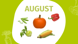 Schrift "August" und Fotos einiger Gemüsesorten