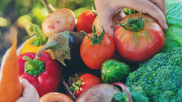 Hand greift Tomate aus einem Korb mit frischem Gemüse